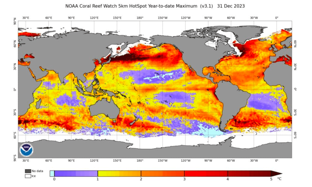 2023 Record Marine Heat Waves