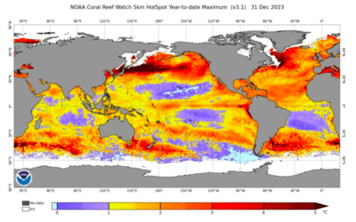 2023 Record Marine Heat Waves