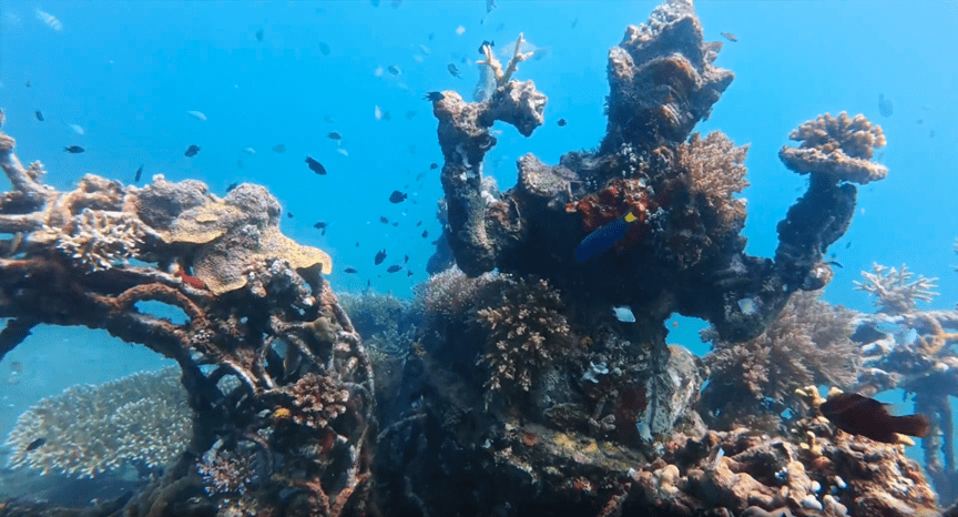 Biorock in Pemuteran, Bali. Indonesia’s largest artificial reef conservation project.